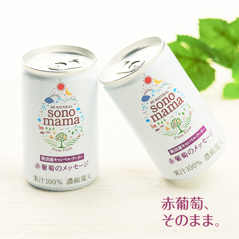 《 定期便 3ヵ月 》赤葡萄ジュース「sonomama」（160g×20本）ぶどう ブドウ ジュース ぶどうジュース 飲料