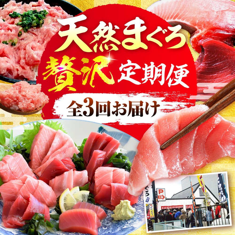 【ふるさと納税】【全3回定期便】まぐろ 豪華 食べ比べ 定期便 【横須賀商工会議所 おもてなしギフト事務局（本まぐろ直売所 横須賀本店）】[AKAK122]5万 50000円 鮪 中トロ 赤身 ねぎとろ ネギトロ まぐろのたたき まぐろたたき マグロ 定期