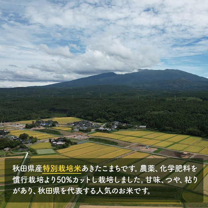 《無洗米》《お米セット》【令和4年産】特別栽培米あきたこまち5kg×1と特別栽培米サキホコレ450g×1