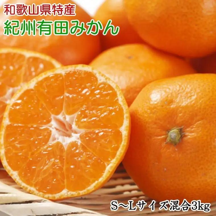 [秀品]和歌山有田みかん約3kg（S～Lサイズ混合）★2026年11月中旬頃より順次発送［TM96ｗ］
