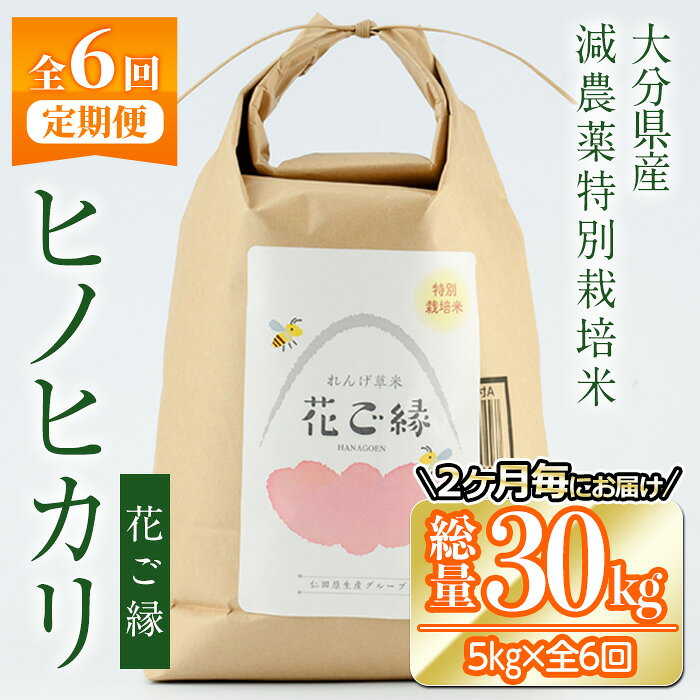 【ふるさと納税】＜先行予約受付中！2026年11月より発送開始予定＞＜定期便・全6回 (奇数月発送)＞減農薬特別栽培米 はなご縁 (総量30kg・5kg×6回) 米 定期便 6回 隔月 ひのひかり ヒノヒカリ 精米 白米 大分県産 数量限定【HD174】【さいき本舗 城下堂】