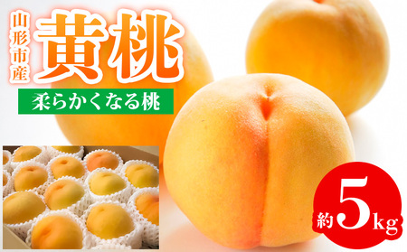 山形市産 黄桃 秀品 5kg (12～20玉) 柔らかくなる桃【令和8年産先行予約】FS24-759 くだもの 果物 フルーツ 山形 山形県 山形市 2026年産