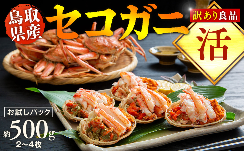 【活】鳥取県産　訳あり　良品セコガニ　お試しパック　約500ｇ（2～4枚）《かに カニ 蟹 セコガニ》※2025/11/6～2025/12/29に順次発送予定※着日指定不可  離島不可（北海道、沖縄本島は配送可能）