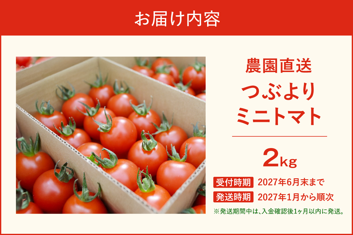 【先行予約】≪2027年1月より順次発送≫農園直送 つぶより ミニトマト 2kg入り｜トマト プチトマト 甘い 野菜 産地直送 愛知県 東浦町