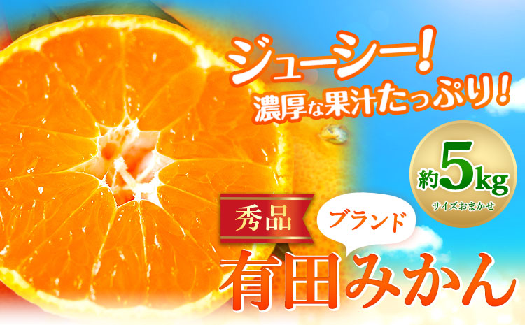 【先行予約】有田みかん 秀品 5kg(サイズおまかせ)とち亀物産 紀伊国屋文左衛門本舗《2025年10月中旬-1月中旬頃出荷予定》和歌山県 日高町 有田みかん みかん 果物 フルーツ ブランド果実