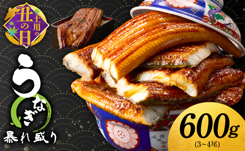【土用の丑の日までにお届け】うなぎ 蒲焼き 暴れ盛り 合計 600g【鰻 真空パック 簡単調理 訳あり サイズ不揃い 人気 惣菜 うな重 うな丼 ひつまぶし にも】