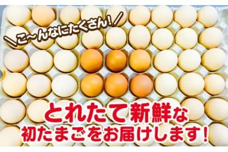 【最短翌日発送】＼２～５日以内発送／ 初たまご プレミアムひまわりたまご54個程度※破卵補償