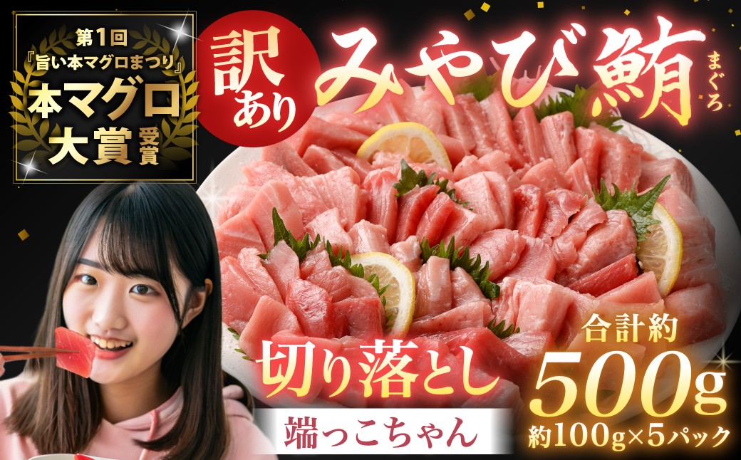 
            【訳あり】みやび鮪 切り落とし 端っこちゃん 計約500g（約100g×5） 5～6人前 ／ マグロ 鮪 トロ 本鮪 本マグロ 本まぐろ 冷凍まぐろ 冷凍鮪 まぐろ 赤身 トロ 鮪赤身 鮪トロ 国産鮪 国産まぐろ 切落し きりおとし 魚 海鮮 刺身 刺し身 冷凍 長崎 長崎県 長崎市
          
