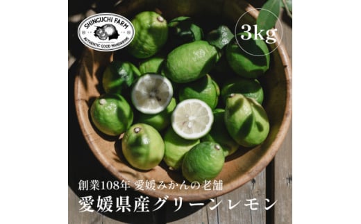 ＜防腐剤・ワックス不使用＞愛媛県産グリーンレモン 3kg＜C70-47＞【1550650】