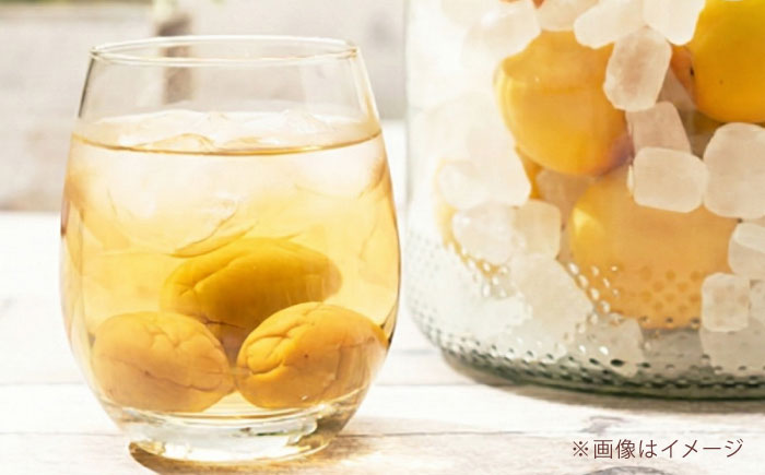 リキュール 果実系リキュール 呑み比べ 4本セット / お酒 果実酒セット 詰め合わせ 飲み比べセット リキュール / 愛媛県砥部町/愛媛県酒造協同組合 [BJAV001]