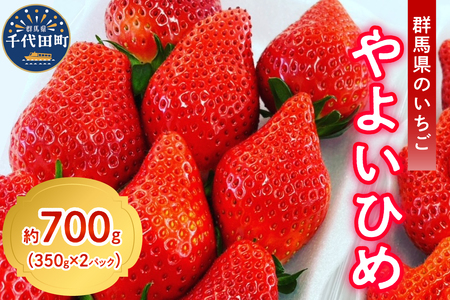 《先行受付》※1月上旬より順次発送※ いちご「 やよいひめ 」約350g×2パック 群馬県 千代田町 ＜斉藤いちご園＞大粒 完熟収穫 大容量 とれたて 新鮮 送料 無料 数量 限定 甘い 豊かな 香り 贅沢 ご褒美 イチゴ ストロベリー 贈答 贈り物 ギフト プレゼント 家族 で 楽しむ フルーツ