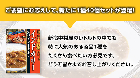 新宿 中村屋 インドカリー スパイシーチキン 40個 人気 洋食 レトルト 時短 カレー インドカレー スパイシーカレー 長期保存 災害用 保存食