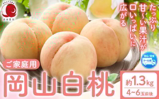 桃 もも【2025年先行予約】ご家庭用 岡山白桃 約1.3kg (4~6玉前後) 赤木農園 《2025年7月上旬-8月中旬頃出荷》 岡山県 浅口市 フルーツ モモ 果物 青果 旬 白桃 桃 【配送不可地域あり】