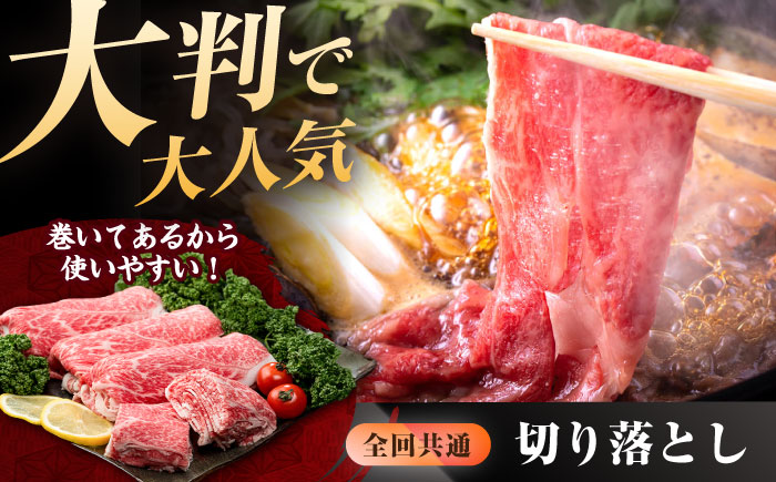 【肉のプロが厳選！】【全12回】佐賀牛 極上定期便【株式会社いろは精肉店】 [IAG079]