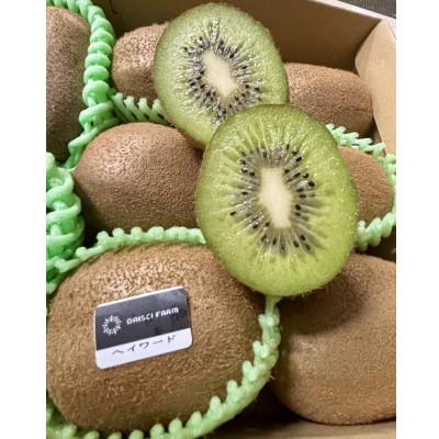 ふるさと納税 春日部市 【ヘイワード12玉】贈答用中箱 大晴農園のキウイフルーツ |  | 01