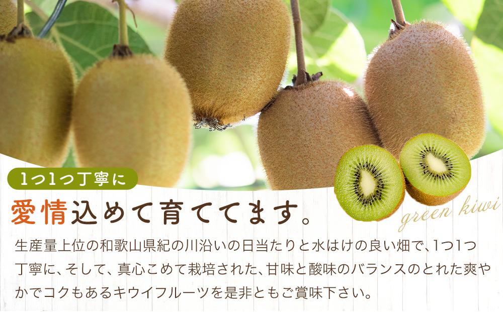 和歌山九度山町産 キウイフルーツ 約3.6kg (玉数おまかせ 24玉～36玉のいずれか 秀品)★ 2025年1月上旬頃より順次発送