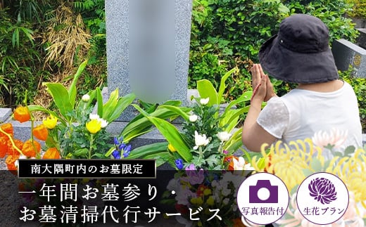 
            【１年間・生花】お墓参り代行｜お墓参り 墓 代行 供花 掃除 献花 生花 シルバー（K72204）
          