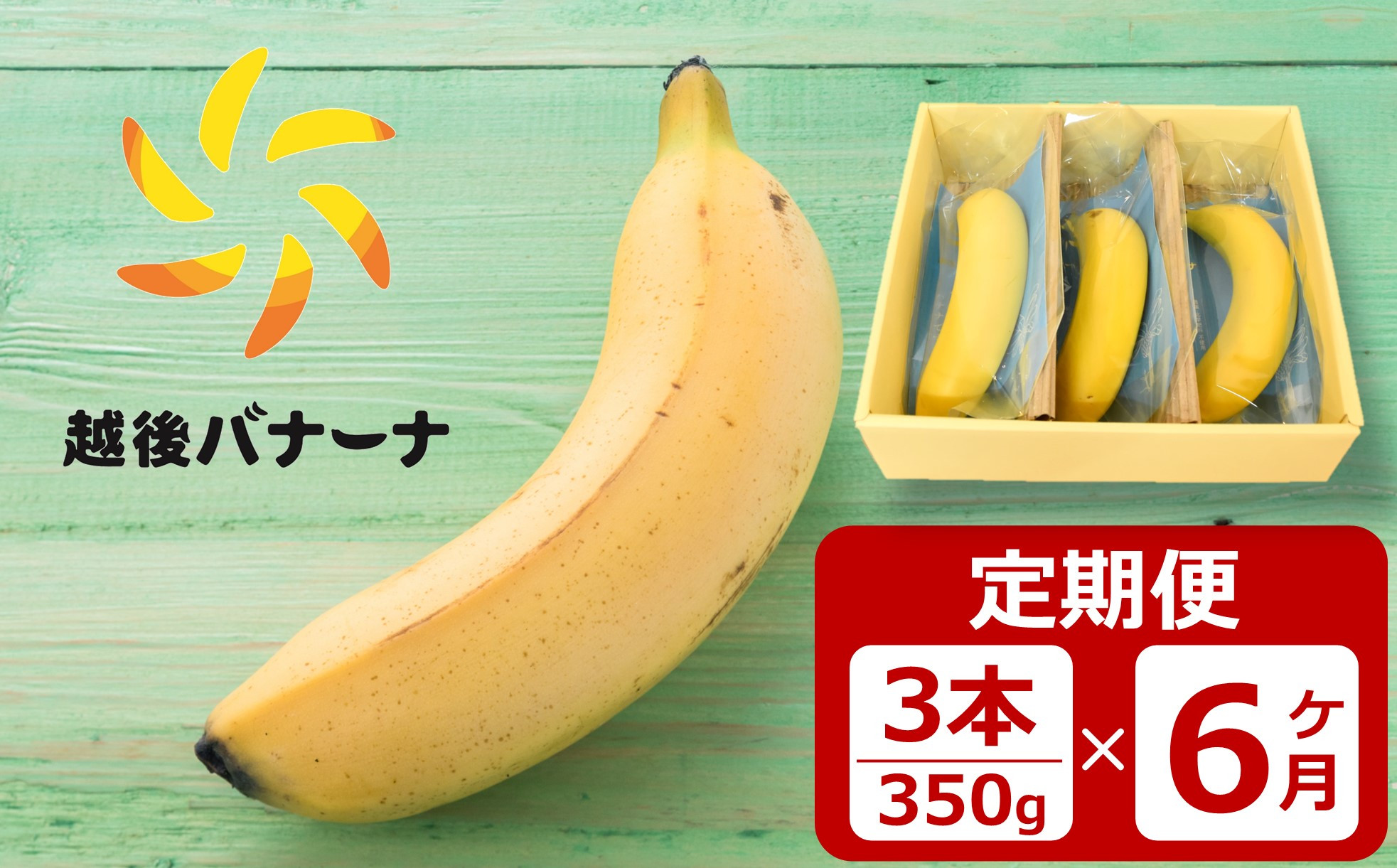 
            【定期便・雪国新潟産バナナ】3本（350g）×6回 濃厚な甘さともっちり食感！安心安全の越後バナーナ[ZK911]
          
