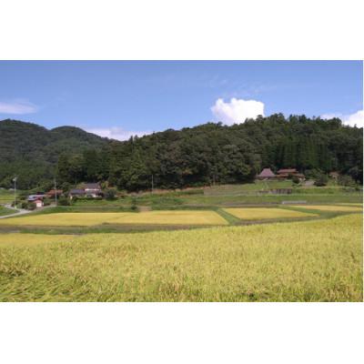 ふるさと納税 浜田市 【毎月定期便】浜田市弥栄町産の美味しいお米「秘境奥島根弥栄」つや姫栽培期間中農薬5割減　5kg全6回 |  | 03