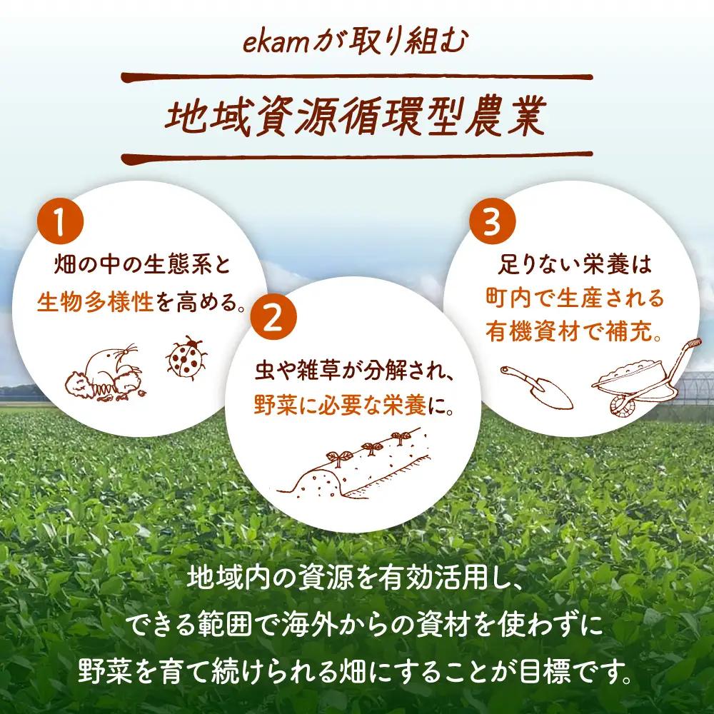 乾燥小粒青大豆（品種：黒神）900g【ekam】 大豆  [AXBV001]