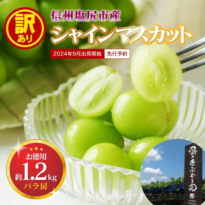2024年発送 先行予約【訳あり】シャインマスカットバラ房約1.2kg