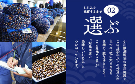 砂抜き済みで手間いらず！冷凍・小川原湖産大和しじみ2kg（250g×8袋）　【02408-0074】