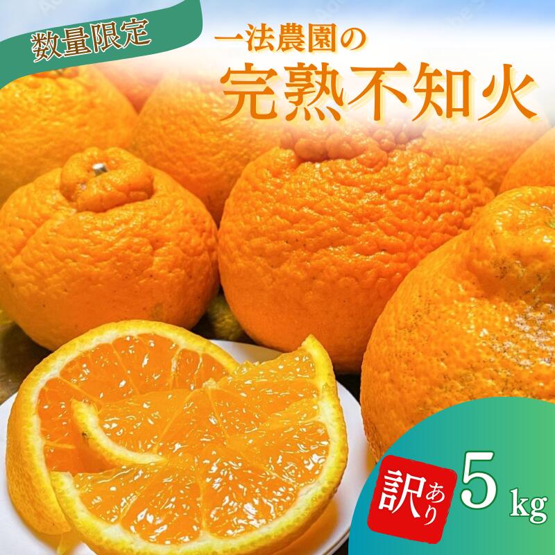 【ふるさと納税】 不知火 一法農園の 完熟不知火 5kg ご家庭用 ちょこっと訳あり M-3Lサイズ混合 【2月上旬〜3月下旬までに順次発送】 デコポン みかん ミカン 蜜柑 柑橘 果物 くだもの フルーツ わけあり 訳あり 家庭用 予約 人気 ジューシー 甘い 産地直送 送料無料