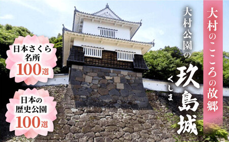 玖島城石垣の石 NFT 大村市 大村市役所観光振興課ふるさと物産室[ACBI002]