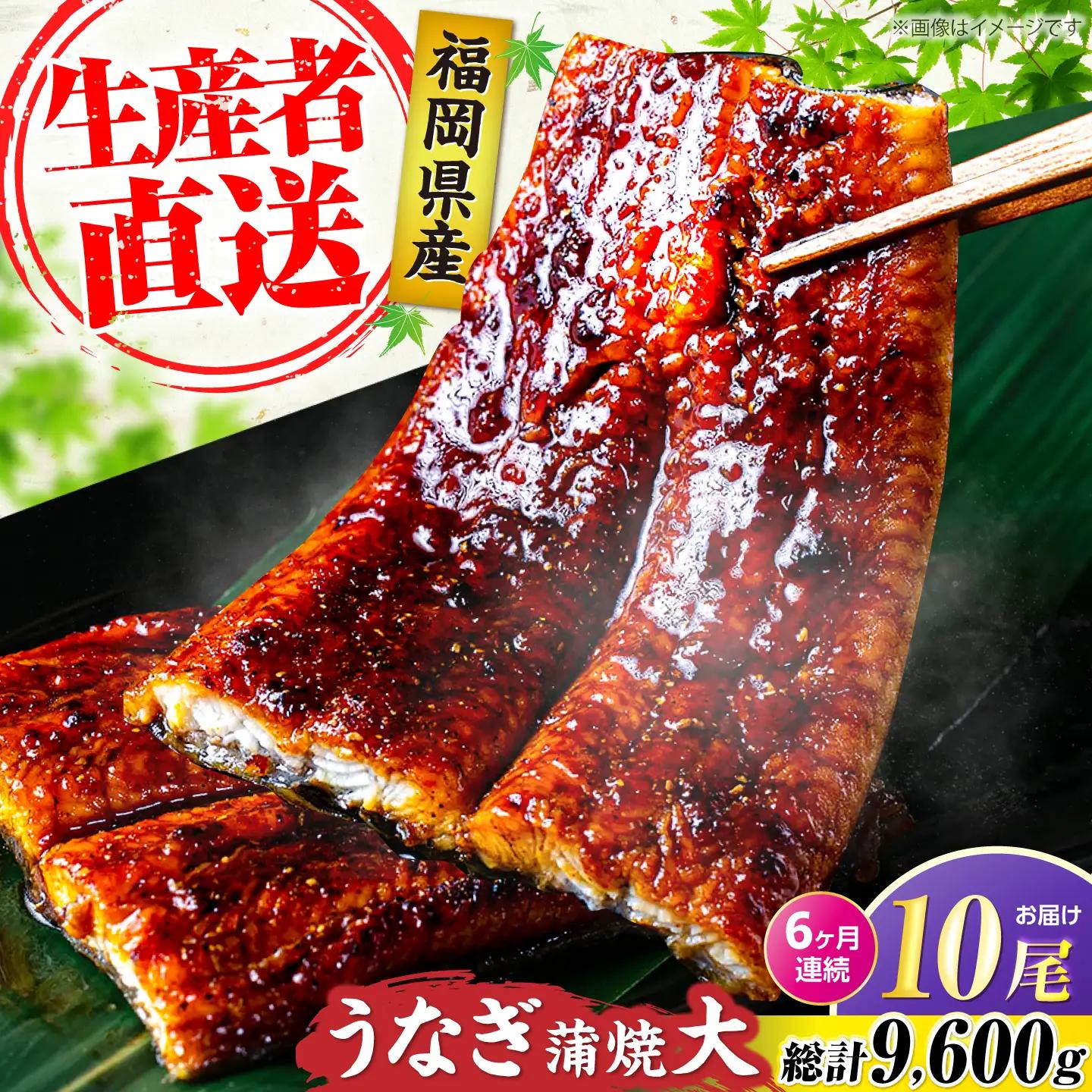【全6回定期便】福岡県産 うなぎ 蒲焼 大10尾 VAD028 うなぎ