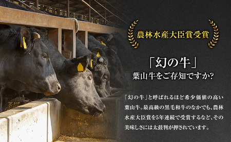 葉山牛サーロインステーキ黒毛和牛冨士屋牛肉店葉山牛【約250g×2枚】