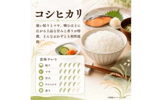 令和8年産 新米 お米屋さんのコシヒカリ 精米 10kg(5kg×2)【1787839】