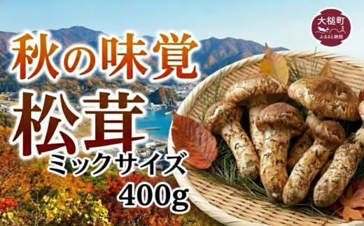 《先行予約》【令和8年10月より発送】松茸 ミックスサイズ400g まつたけ 岩手【41】