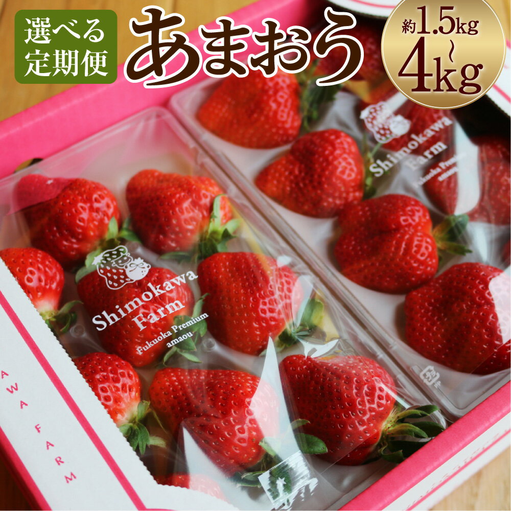 【ふるさと納税】【選べる定期便】特別栽培の濃厚完熟あまおう 約500g/約1kg 3回定期便/4回定期便 1パック約250g いちご イチゴ 苺 くだもの 果物 フルーツ 福岡県産 九州産 パック 冷蔵 送料無料【2025年12月上旬～2026年1月上旬より順次発送予定】