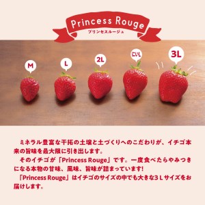 いちご4品種スペシャルセット　いちご