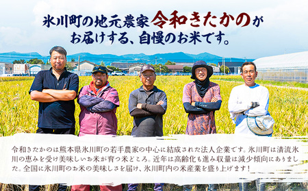 令和7年産 新米 無洗米 清流きたかの米 10kg《1月出荷予定》熊本県産 無洗米 白米 精米 氷川町 送料無料コメ 便利 ブランド米 お米 おこめ 熊本 SDGs