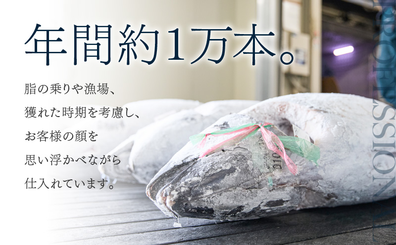 天然三崎まぐろ 赤身 切落し 1kg（500g×2袋）　M020-014-01