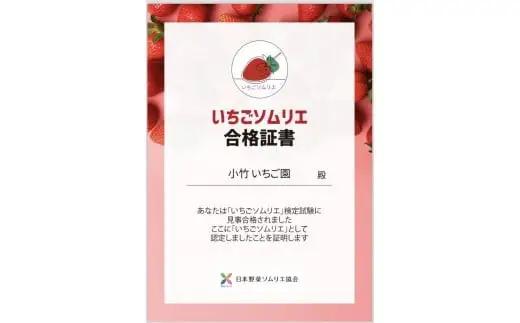 《数量限定》新旧2種食べ比べセット（とちおとめ、とちあいか） 270g×2パック（540g）｜いちご イチゴ 苺 先行予約 栃木県 果物 くだもの フルーツ とちおとめ とちあいか 新鮮 贈答 ギフト