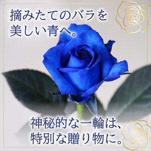 【日時指定可】青 バラ 花束 10本 ブーケ 薔薇 花束 G06_01