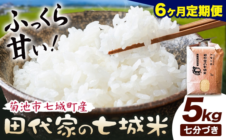 
                  【6ヶ月定期便】令和7年産 菊池市七城町産 田代家の七城米 七城ヒノヒカリ 七分づき 5kg 田代こめや《お申込み翌月から出荷》熊本県 菊池市 米 お米 精米 ひのひかり 菊池市産 熊本県産 九州産 送料無料
                