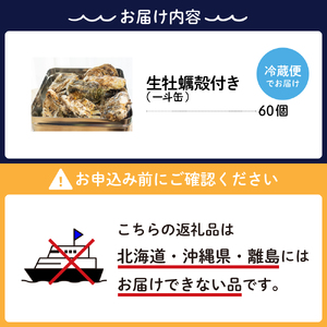 【2025年3月中旬発送】ナバラ水産 生牡蠣 殻付き どおんと！一斗缶 60個入