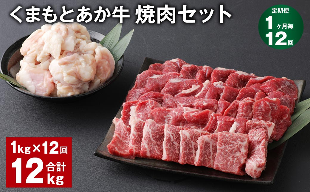 
【1ヶ月毎12回定期便】 くまもとあか牛 焼肉セット 計約12kg（約1kg✕12回） 焼肉 もも ホルモン
