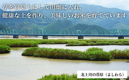 令和5年産＜定期便＞ヨシ腐葉土米 精米20kg（4kg×5回発送）ササニシキ