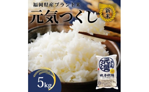 【化粧箱入り】新米！！令和7年産 福岡県産米 元気つくし 5kg ( 5kg×1袋 )