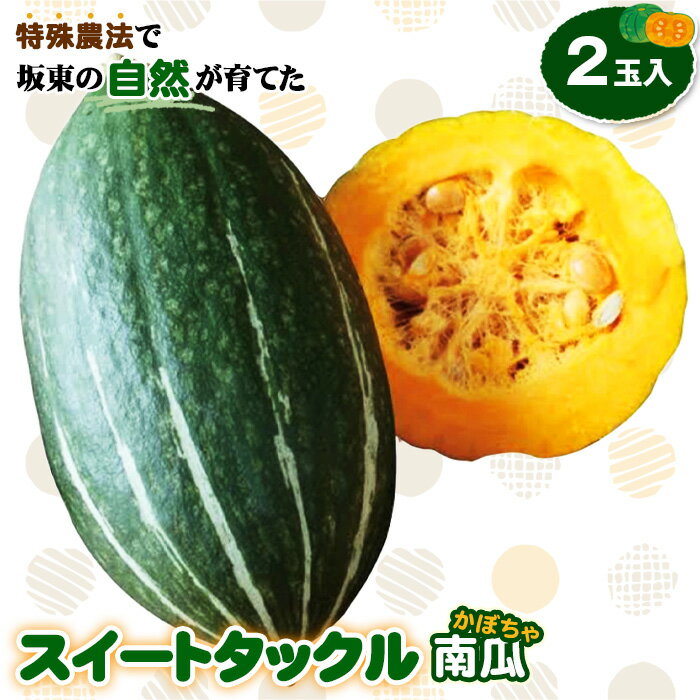 【ふるさと納税】No.844 特殊農法で坂東の自然が育てた「スイートタックル南瓜」2玉入 ／ かぼちゃ カボチャ 貴重 ユニーク 高糖度 品質 スイーツかぼちゃ 野菜 送料無料 茨城県