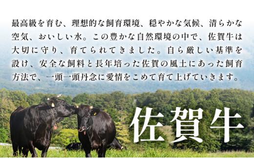 艶さし！【A4～A5】佐賀牛焼肉用　1kg（500g×2p）
