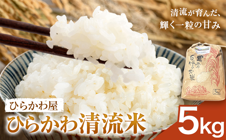 ひらかわ清流米 5kg×1袋 生産物直売所ひらかわ屋 お米 白米 鹿児島県 鹿児島県産 さつま町 精米 ごはん
