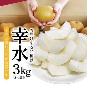 SA2988　刈屋梨　幸水　約3kg(6～10玉入)