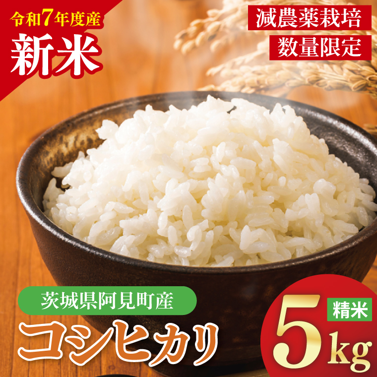 【先行予約】10月中旬から配送【令和7年産新米】コシヒカリ精米5kg【お米 白米 コシヒカリ こしひかり 茨城県産】(72-01)