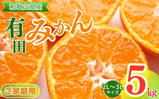 
            【ご家庭用】和歌山有田みかん約5kg(2L、3Lサイズ)【美浜町】〇 ※北海道・沖縄・離島への配送不可 ※2025年11月上旬～2026年1月下旬頃に順次発送予定
          