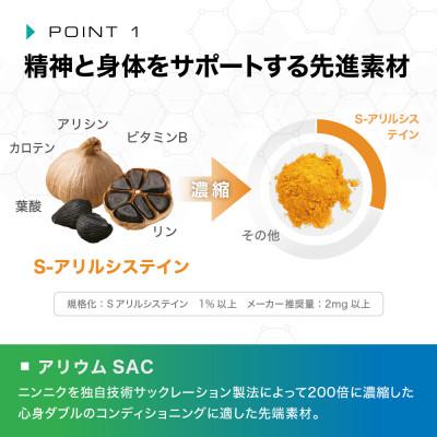 ふるさと納税 鎌倉市 【バイオエリクサーV3】1袋・180粒|アリウムSAC 植物由来ビタミン|サプリ|ナイトプロテイン |  | 01